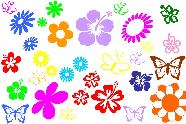 colour design